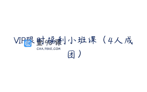 VIP限时福利小班课（4人成团）