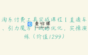 淘系付费工具实战课程【直通车、引力魔方】战略优化，实操演练（价值1299）