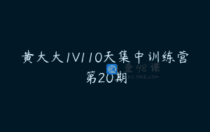 黄大大1V110天集中训练营第20期