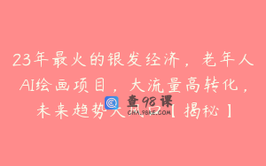 23年最火的银发经济，老年人AI绘画项目，大流量高转化，未来趋势大风口【揭秘】