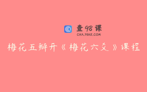 梅花五瓣开《梅花六爻》课程