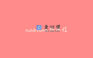 nutdream6期课程