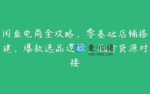 闲鱼电商全攻略，零基础店铺搭建，爆款选品逻辑，低价货源对接