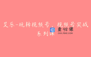 艾乐-玩转视频号，视频号实战系列课
