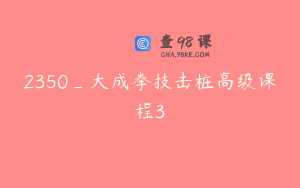 2350_大成拳技击桩高级课程3