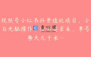 视频号小红书抖音挂机项目，小白无脑操作，按照要求来，单号每天几十米…