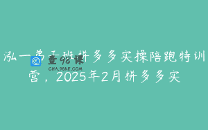 泓一弟子班拼多多实操陪跑特训营，2025年2月拼多多实
