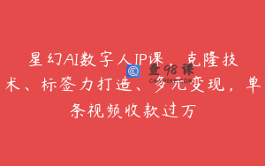 星幻AI数字人IP课，克隆技术、标签力打造、多元变现，单条视频收款过万