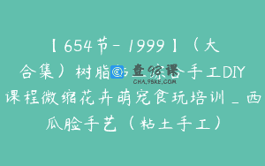 【654节-￥1999】（大合集）树脂粘土综合手工DIY课程微缩花卉萌宠食玩培训_西瓜脸手艺（粘土手工）