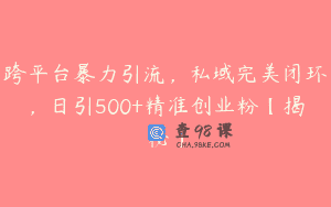 跨平台暴力引流，私域完美闭环，日引500+精准创业粉【揭秘】