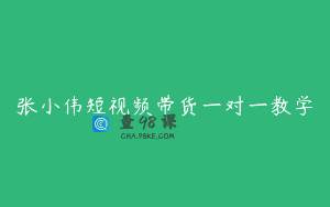 张小伟短视频带货一对一教学