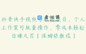 抖音快手视频号取图项目,个人工作室可批量操作,零成本轻松日赚几百【保姆级教程】