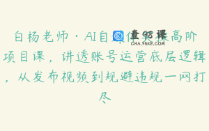 白杨老师·AI自媒体实操高阶项目课，讲透账号运营底层逻辑，从发布视频到规避违规一网打尽