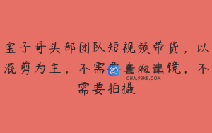 宝子哥头部团队短视频带货，以混剪为主，不需要真人出镜，不需要拍摄