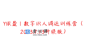 Y依盈｜数字识人调运训练营（2023.7.13升级版）