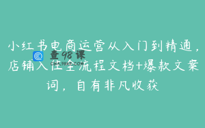 小红书电商运营从入门到精通，店铺入住全流程文档+爆款文案词，自有非凡收获