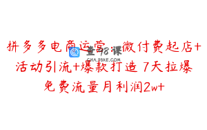 拼多多电商运营：微付费起店+活动引流+爆款打造 7天拉爆免费流量月利润2w+