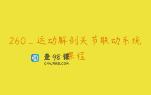 260_运动解剖关节联动系统课程