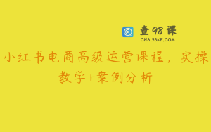 小红书电商高级运营课程,实操教学+案例分析