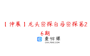 【仲展】龙头密探白马密探第26期