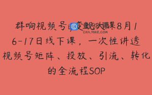 群响视频号ip变现大课8月16-17日线下课,一次性讲透视频号矩阵、投放、引流、转化的全流程SOP