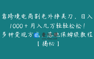 靠跨境电商割老外挣美刀，日入1000＋月入几万轻轻松松！多种变现方式，落地保姆级教程【揭秘】