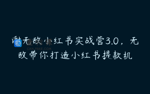 谢无敌小红书实战营3.0，无敌带你打造小红书提款机