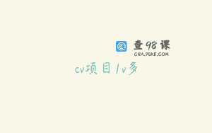cv项目1v多
