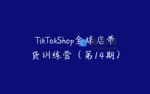 TikTokShop全球店带货训练营（第14期）