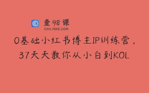 0基础小红书博主IP训练营，37天天教你从小白到KOL