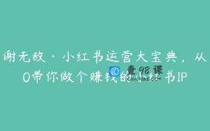 谢无敌·小红书运营大宝典,从0带你做个赚钱的小红书IP