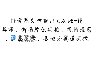 抖音图文带货16.0基础+精英课，新增原创实拍、视频混剪、选品实操，各细分赛道实操
