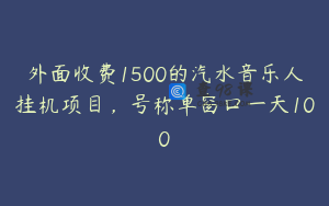 外面收费1500的汽水音乐人挂机项目，号称单窗口一天100