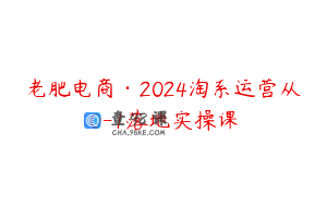 老肥电商·2024淘系运营从0-1落地实操课