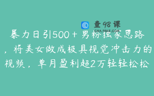 暴力日引500＋男粉独家思路，将美女做成极具视觉冲击力的视频，单月盈利超2万轻轻松松