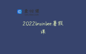 2022brainbee暑假课