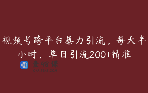 视频号跨平台暴力引流，每天半小时，单日引流200+精准