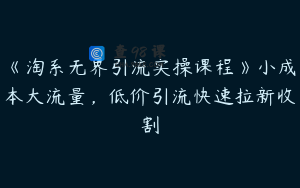 《淘系无界引流实操课程》小成本大流量，低价引流快速拉新收割