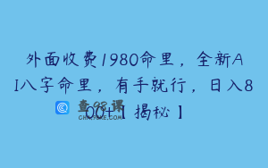 外面收费1980命里，全新AI八字命里，有手就行，日入800+【揭秘】
