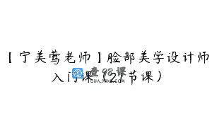 【宁美莺老师】脸部美学设计师入门课（21节课）
