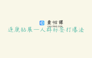 逐鹿钻展—人群标签打爆法