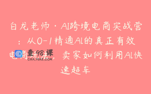 白龙老师·AI跨境电商实战营：从0-1精通Al的真正有效电商玩法，卖家如何利用Al快速超车