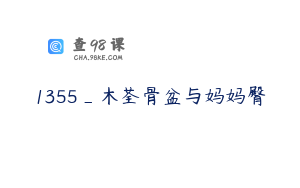 1355_木荃骨盆与妈妈臀