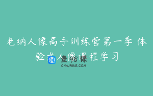 老纳人像高手训练营第一季 体验式人像课程学习
