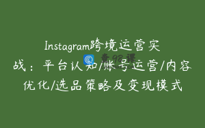 Instagram跨境运营实战：平台认知/账号运营/内容优化/选品策略及变现模式