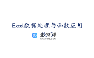 Excel数据处理与函数应用技巧