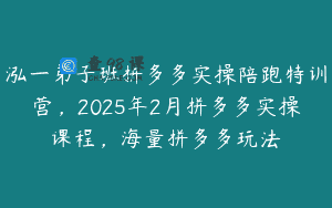 泓一弟子班拼多多实操陪跑特训营，2025年2月拼多多实操课程，海量拼多多玩法
