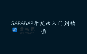 SAPABAP开发由入门到精通
