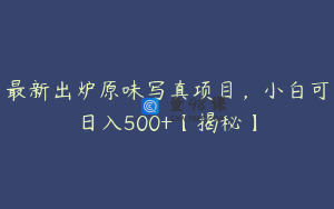 最新出炉原味写真项目,小白可日入500+【揭秘】