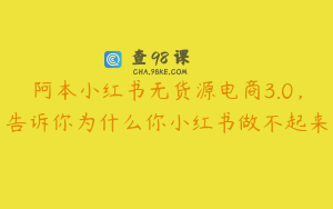 阿本小红书无货源电商3.0，告诉你为什么你小红书做不起来